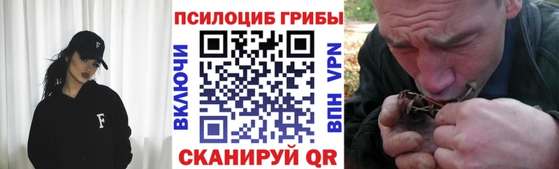 Псилоцибиновые грибы прущие грибы  площадка официальный сайт  Мытищи  закладка 