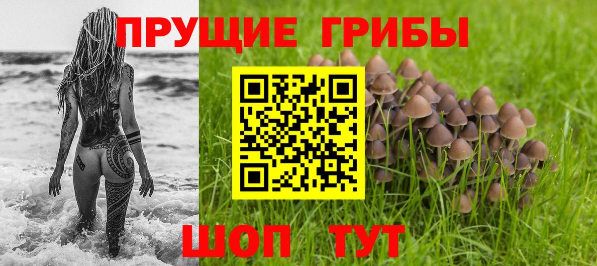 Галлюциногенные грибы мухоморы Мытищи